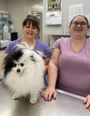 picture of staff members with a patient